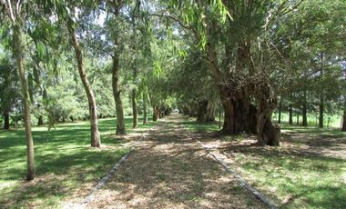 Venta campo de 58hs con casco moderno en Lobos