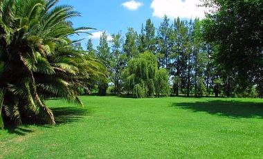 Venta campo de 58hs con casco moderno en Lobos