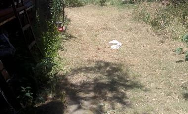 Depósito en Villa Dominico
