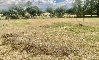Lotes Venta Rozo Palmira