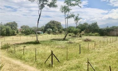 Lotes Venta Rozo Palmira