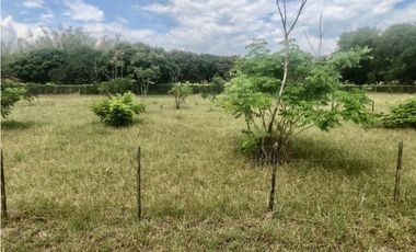 Lotes Venta Rozo Palmira