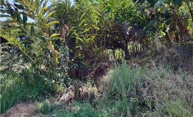 VENTA CASA FINCA VEREDA MESTIZAL SAN JERONIMO ANTIOQUIA