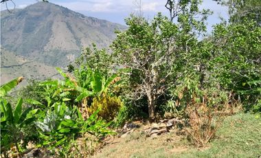 VENTA CASA FINCA VEREDA MESTIZAL SAN JERONIMO ANTIOQUIA