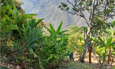 VENTA CASA FINCA VEREDA MESTIZAL SAN JERONIMO ANTIOQUIA