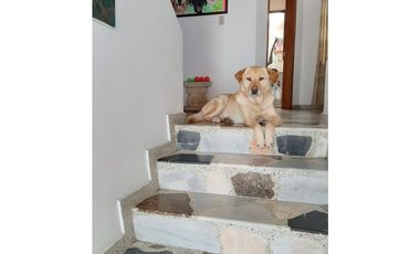 SE VENDE CASA AMPLIA SAN PABLO ZIPAQUIR