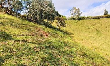 Venta lote con casa en San Vicente Ferrer, Vereda Ovejas