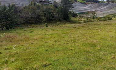 Venta lote con casa en San Vicente Ferrer, Vereda Ovejas