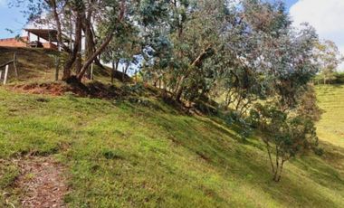 Venta lote con casa en San Vicente Ferrer, Vereda Ovejas