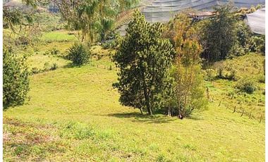 Venta lote con casa en San Vicente Ferrer, Vereda Ovejas