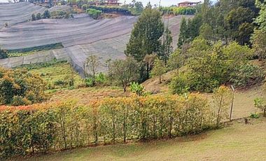 Venta lote con casa en San Vicente Ferrer, Vereda Ovejas