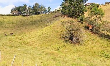 Venta lote con casa en San Vicente Ferrer, Vereda Ovejas