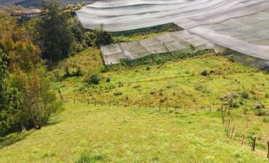 Venta lote con casa en San Vicente Ferrer, Vereda Ovejas