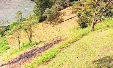 Venta lote con casa en San Vicente Ferrer, Vereda Ovejas