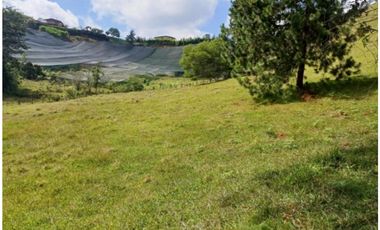 Venta lote con casa en San Vicente Ferrer, Vereda Ovejas