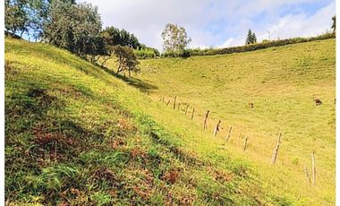 Venta lote con casa en San Vicente Ferrer, Vereda Ovejas