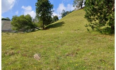 Venta lote con casa en San Vicente Ferrer, Vereda Ovejas