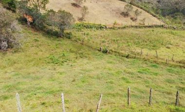 Venta lote con casa en San Vicente Ferrer, Vereda Ovejas