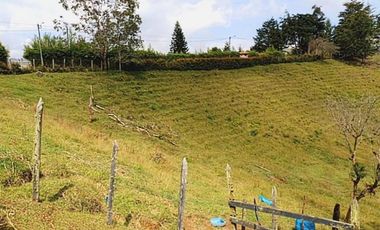 Venta lote con casa en San Vicente Ferrer, Vereda Ovejas