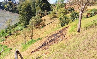 Venta lote con casa en San Vicente Ferrer, Vereda Ovejas