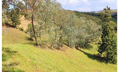 Venta lote con casa en San Vicente Ferrer, Vereda Ovejas