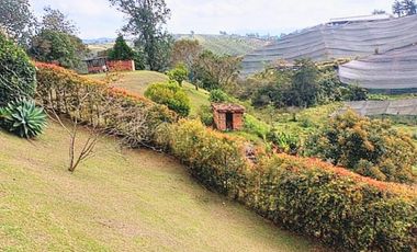 Venta lote con casa en San Vicente Ferrer, Vereda Ovejas