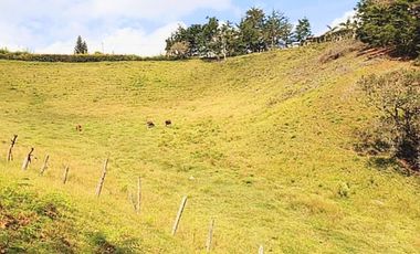 Venta lote con casa en San Vicente Ferrer, Vereda Ovejas