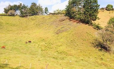 Venta lote con casa en San Vicente Ferrer, Vereda Ovejas