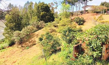 Venta lote con casa en San Vicente Ferrer, Vereda Ovejas