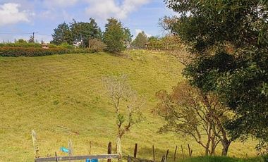 Venta lote con casa en San Vicente Ferrer, Vereda Ovejas