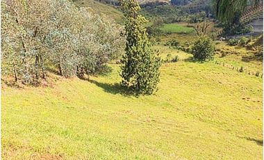 Venta lote con casa en San Vicente Ferrer, Vereda Ovejas