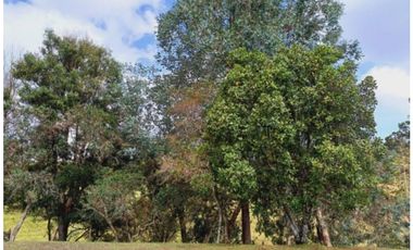 Venta lote con casa en San Vicente Ferrer, Vereda Ovejas