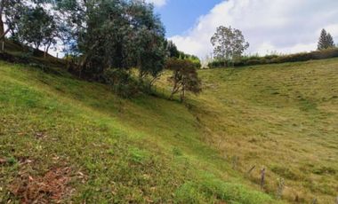 Venta lote con casa en San Vicente Ferrer, Vereda Ovejas