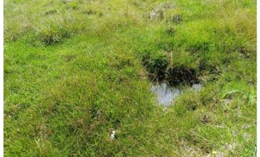 Venta lote con casa en San Vicente Ferrer, Vereda Ovejas