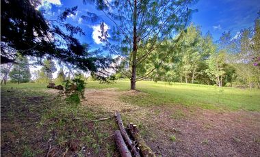 Venta Lote Parcelacion Alto Palmas Envigado