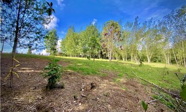 Venta Lote Parcelacion Alto Palmas Envigado