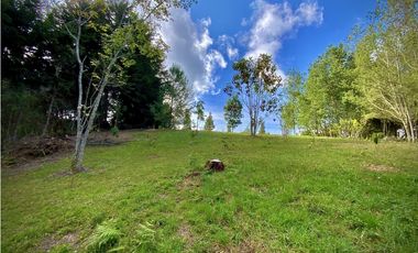 Venta Lote Parcelacion Alto Palmas Envigado