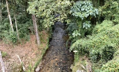 Venta Lote Parcelacion Alto Palmas Envigado