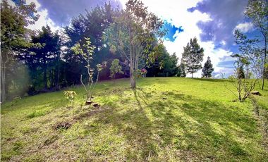 Venta Lote Parcelacion Alto Palmas Envigado