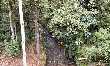 Venta Lote Parcelacion Alto Palmas Envigado