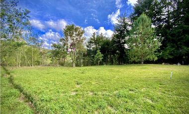 Venta Lote Parcelacion Alto Palmas Envigado