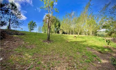 Venta Lote Parcelacion Alto Palmas Envigado