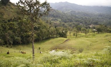 Se Vende Hermosa Finca en la Ciudad de Anolaima