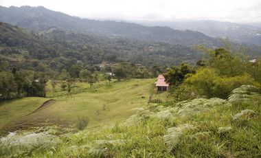 Se Vende Hermosa Finca en la Ciudad de Anolaima