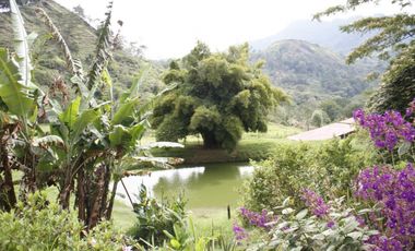 Se Vende Hermosa Finca en la Ciudad de Anolaima