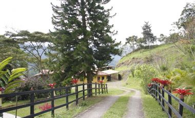 Se Vende Hermosa Finca en la Ciudad de Anolaima