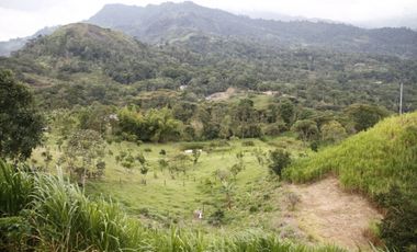 Se Vende Hermosa Finca en la Ciudad de Anolaima