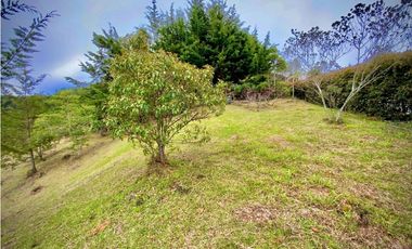 Lote Parcelacion VISTA REPRESA (Retiro)