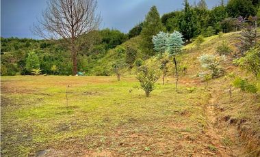 Lote Parcelacion VISTA REPRESA (Retiro)