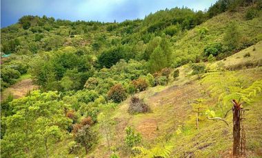 Lote Parcelacion VISTA REPRESA (Retiro)